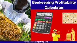 Beekeeping Profitability Calculator