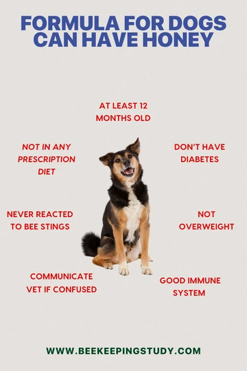 Conditions for Dogs Can Have Honey