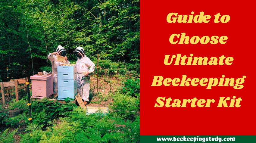 Guide to Choose Ultimate Beekeeping Starter Kit