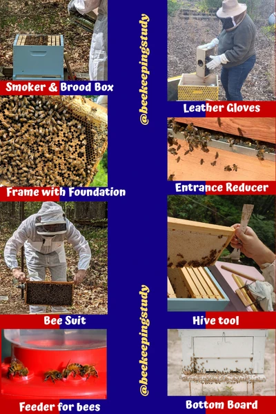 Must-Have Items in Beekeeping Starter Kit