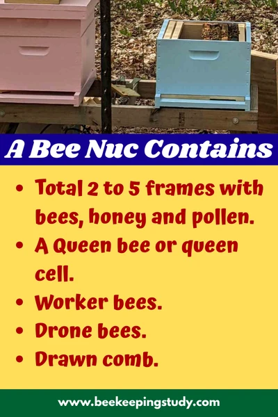 What's inside a bee nuc