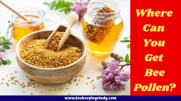 Where Can You Get Bee Pollen