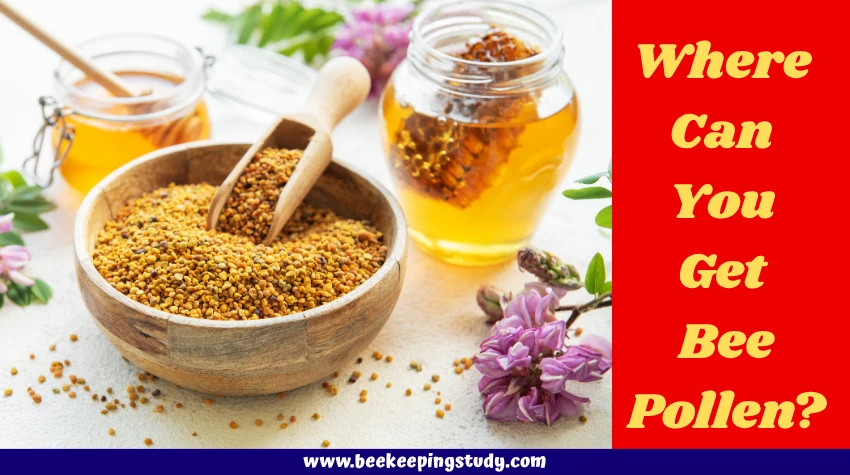 Where Can You Get Bee Pollen