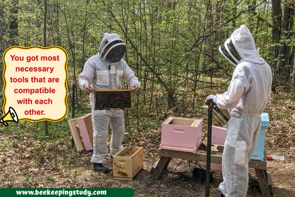 Why to buy a single beekeeping starter kit