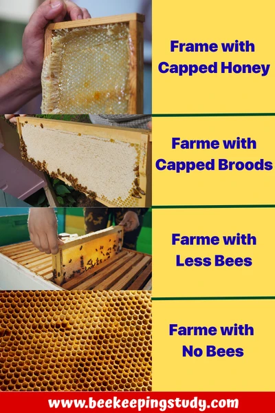 Frames Unlikely to Have the Queen