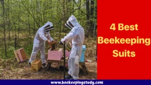 4 Best Beekeeping Suits