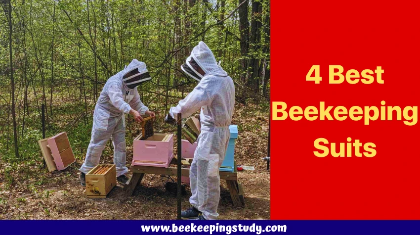 4 Best Beekeeping Suits