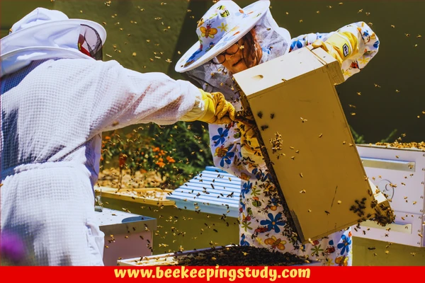 Best Beekeeping Suit Ever (3 Layer Ventilated Bee Suit)