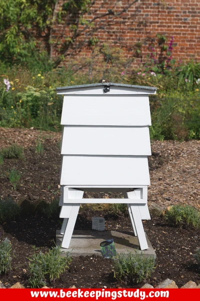 British National Hive