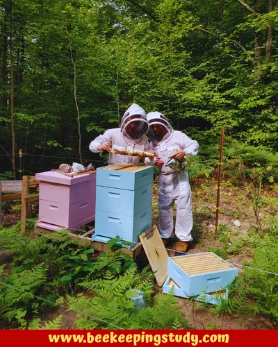 Cotton Bee Suit