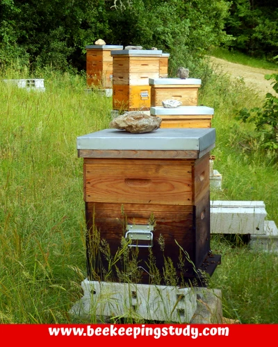 Flow Hive