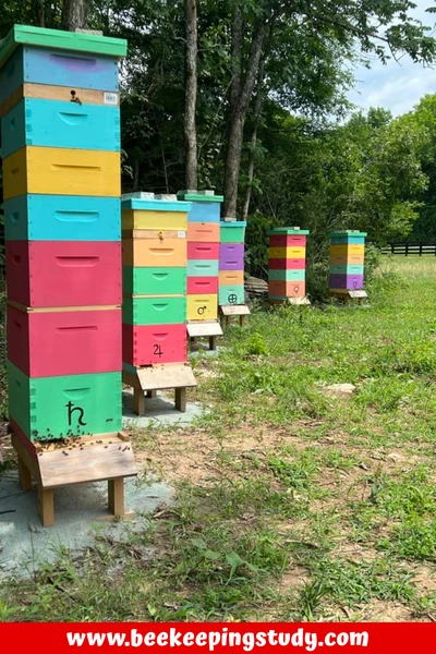 Langstroth Beehives