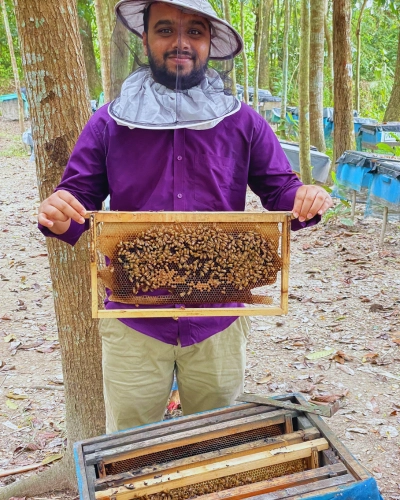 Can Bees Recognize Human Faces