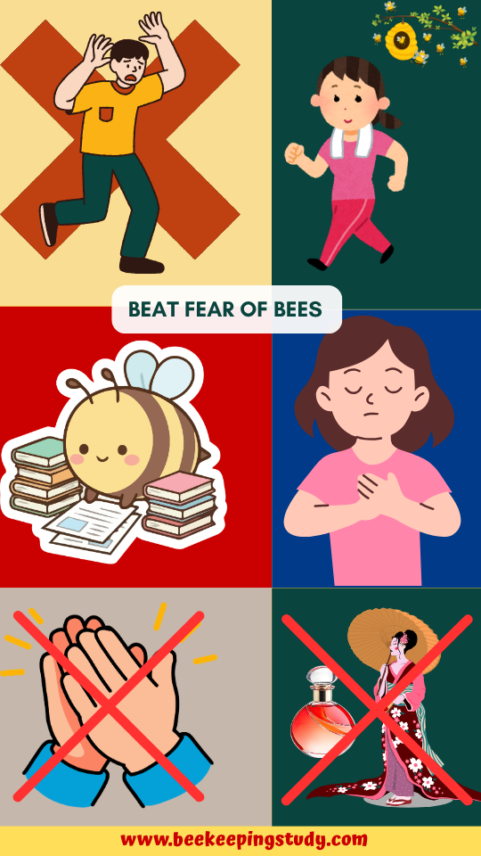 Dos and Don'ts to Beat Phobia of Bees