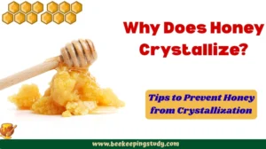 Why Does Honey Crystallize